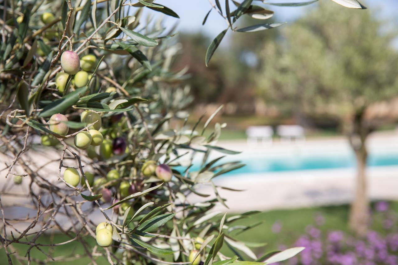 Masseria Saietti Bed and Breakfast Ruffano Buitenkant foto